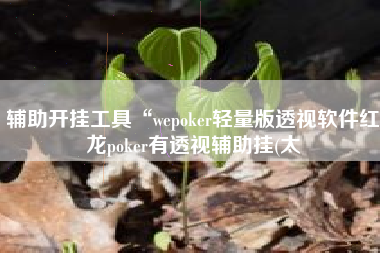 辅助开挂工具“wepoker轻量版透视软件红龙poker有透视辅助挂(太