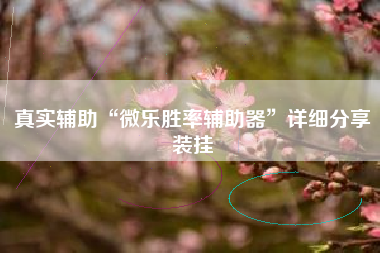 真实辅助“微乐胜率辅助器	”详细分享装挂