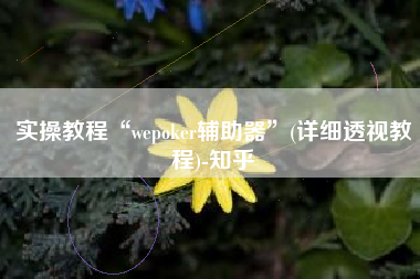 实操教程“wepoker辅助器	”(详细透视教程)-知乎