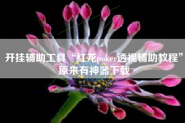开挂辅助工具“红龙poker透视辅助教程	”原来有神器下载