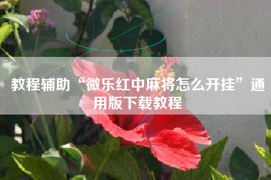 教程辅助“微乐红中麻将怎么开挂”通用版下载教程
