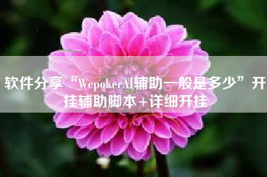 软件分享“WepokerAI辅助一般是多少	”开挂辅助脚本+详细开挂