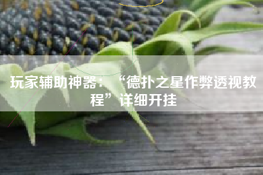 玩家辅助神器：“德扑之星作弊透视教程	”详细开挂