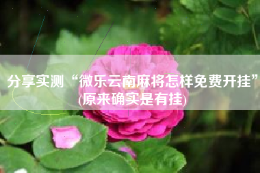 分享实测“微乐云南麻将怎样免费开挂	”(原来确实是有挂)