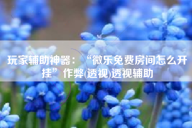 玩家辅助神器：“微乐免费房间怎么开挂	”作弊(透视)透视辅助