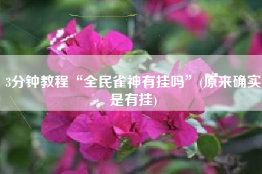 3分钟教程“全民雀神有挂吗”(原来确实是有挂)