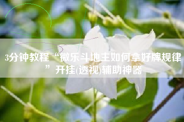 3分钟教程“微乐斗地主如何拿好牌规律	”开挂(透视)辅助神器