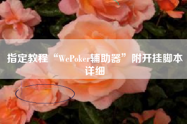指定教程“WePoker辅助器”附开挂脚本详细