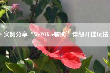 实测分享“WePOKer辅助”详细开挂玩法