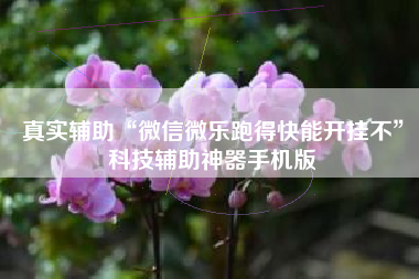 真实辅助“微信微乐跑得快能开挂不”科技辅助神器手机版