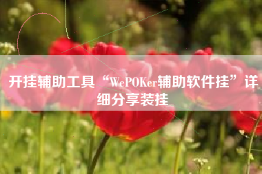 开挂辅助工具“WePOKer辅助软件挂”详细分享装挂