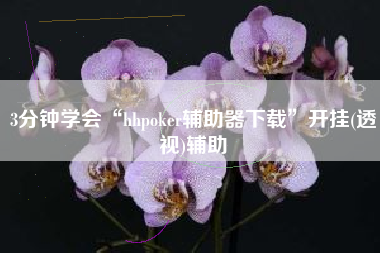 3分钟学会“hhpoker辅助器下载”开挂(透视)辅助
