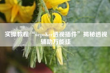 实操教程“wepoKer透视插件	”揭秘透视辅助万能挂
