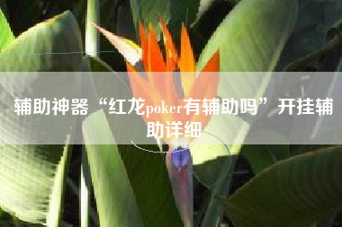 辅助神器“红龙poker有辅助吗	”开挂辅助详细