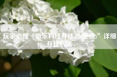 玩家必搜“微乐科技开挂器(免费)”详细开挂玩法