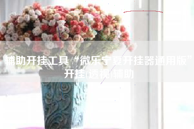 辅助开挂工具“微乐宁夏开挂器通用版”开挂(透视)辅助