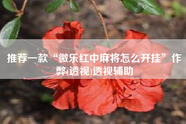 推荐一款“微乐红中麻将怎么开挂”作弊(透视)透视辅助