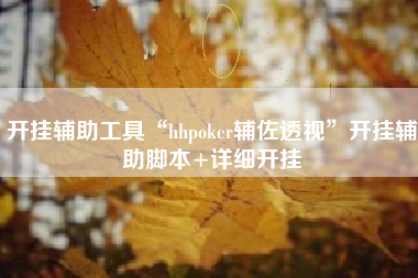 开挂辅助工具“hhpoker辅佐透视”开挂辅助脚本+详细开挂