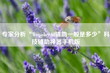 专家分析“WepokerAI辅助一般是多少”科技辅助神器手机版