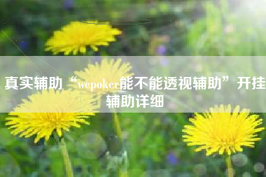 真实辅助“wepoker能不能透视辅助	”开挂辅助详细