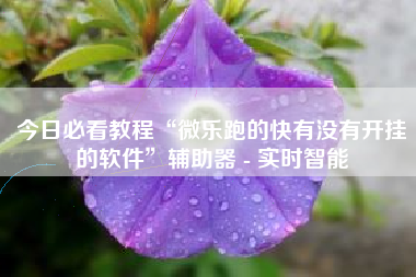 今日必看教程“微乐跑的快有没有开挂的软件	”辅助器 - 实时智能