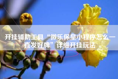 开挂辅助工具“微乐保皇小程序怎么一直发好牌	”详细开挂玩法