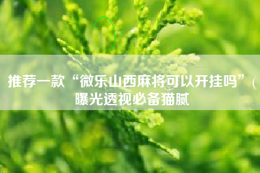 推荐一款“微乐山西麻将可以开挂吗”(曝光透视必备猫腻