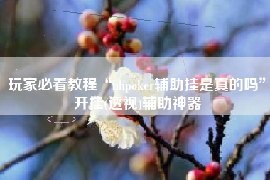 玩家必看教程“hhpoker辅助挂是真的吗	”开挂(透视)辅助神器