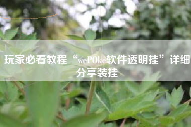 玩家必看教程“wePOke软件透明挂”详细分享装挂