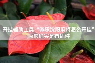 开挂辅助工具“微乐沈阳麻将怎么开挂”(原来确实是有插件