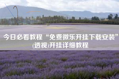 今日必看教程“免费微乐开挂下载安装	”(透视)开挂详细教程