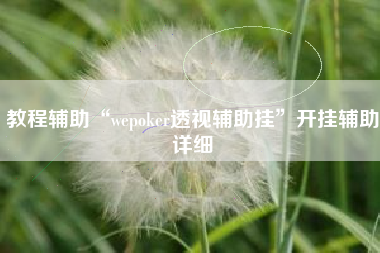教程辅助“wepoker透视辅助挂”开挂辅助详细