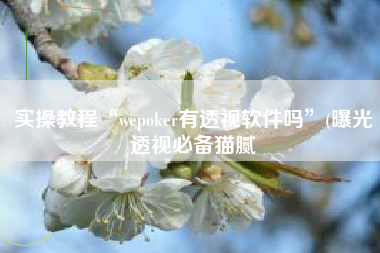 实操教程“wepoker有透视软件吗	”(曝光透视必备猫腻