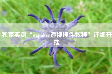 独家实测“wepoker透视插件教程”详细开挂