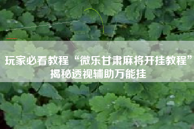玩家必看教程“微乐甘肃麻将开挂教程	”揭秘透视辅助万能挂