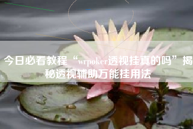 今日必看教程“wrpoker透视挂真的吗	”揭秘透视辅助万能挂用法