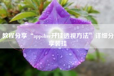 教程分享“appoker开挂透视方法	”详细分享装挂