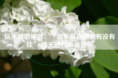 玩家辅助神器：“微乐麻将到底有没有挂”(曝光透视必备猫腻