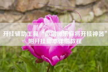 开挂辅助工具“微信微乐麻将开挂神器”附开挂脚本详细教程