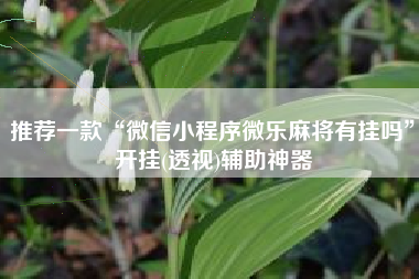 推荐一款“微信小程序微乐麻将有挂吗”开挂(透视)辅助神器