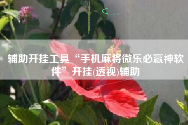 辅助开挂工具“手机麻将微乐必赢神软件”开挂(透视)辅助