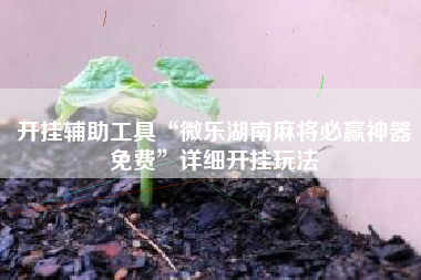开挂辅助工具“微乐湖南麻将必赢神器免费”详细开挂玩法