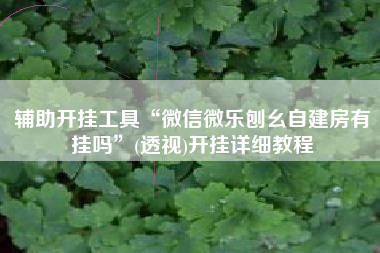 辅助开挂工具“微信微乐刨幺自建房有挂吗”(透视)开挂详细教程