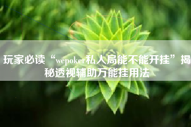 玩家必读“wepoker私人局能不能开挂”揭秘透视辅助万能挂用法