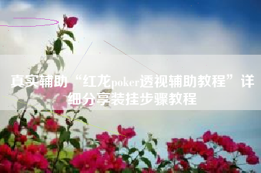 真实辅助“红龙poker透视辅助教程	”详细分享装挂步骤教程