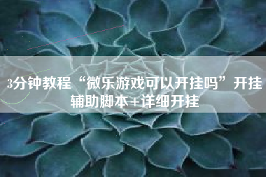 3分钟教程“微乐游戏可以开挂吗”开挂辅助脚本+详细开挂