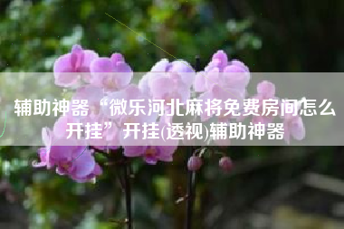 辅助神器“微乐河北麻将免费房间怎么开挂	”开挂(透视)辅助神器