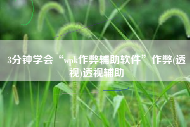 3分钟学会“wpk作弊辅助软件”作弊(透视)透视辅助