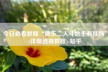 今日必看教程“微乐二人斗地主有挂吗”(详细透视教程)-知乎