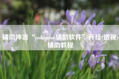 辅助神器“pokemon辅助软件”开挂(透视)辅助教程